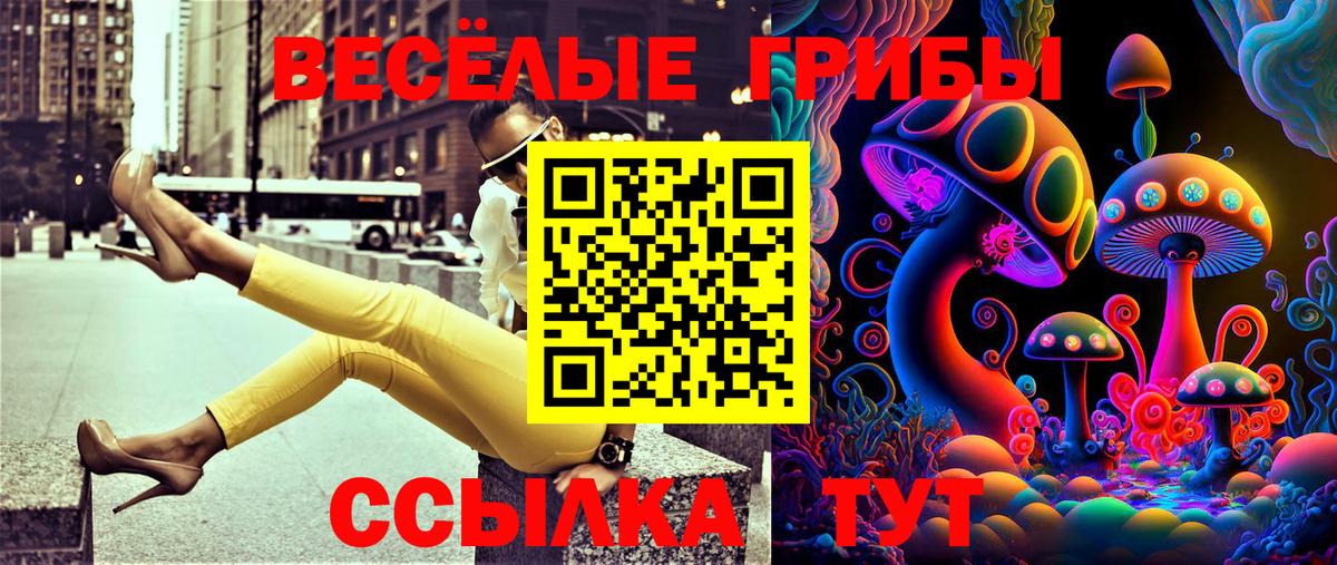 Псилоцибиновые грибы прущие грибы Муравленко