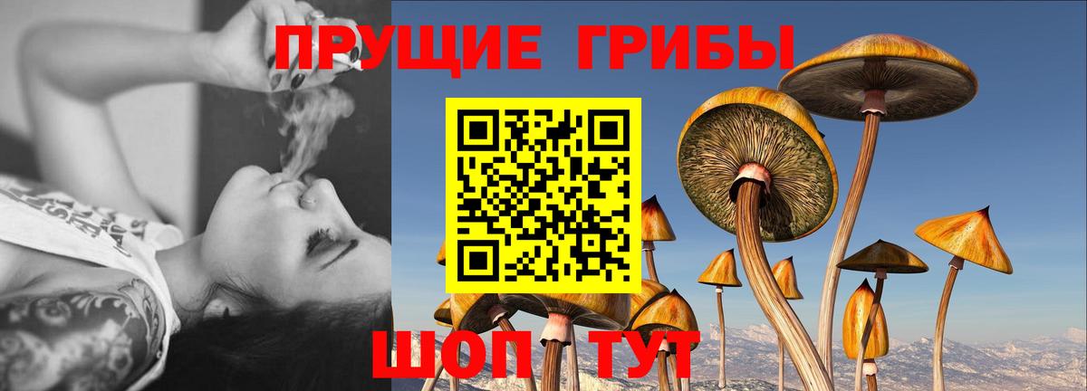 Галлюциногенные грибы Magic Shrooms  Вход с VPN  Муравленко  Псилоцибиновые грибы Psilocybe 